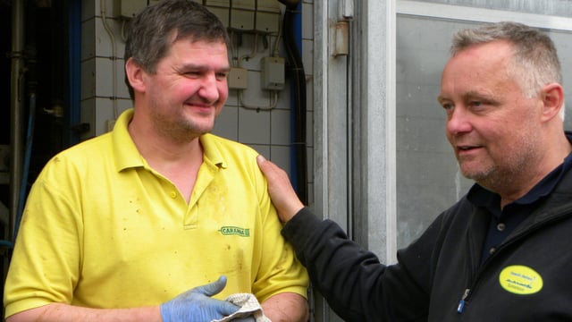 Meet the part-time farmer with over 700 dairy cows