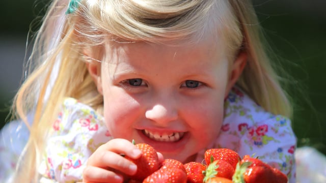 Know everything about strawberries? What's right amount of cream to put on them?
