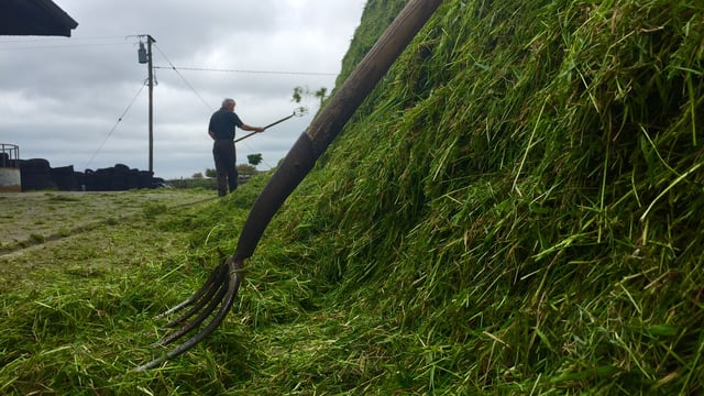 Baled versus pit silage - the debate rages on