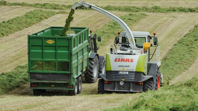 Poll: Why would you NOT work for an agricultural contractor at silage time?