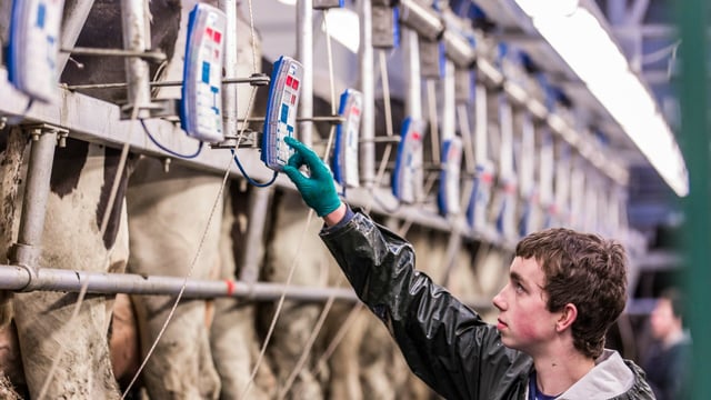 Winter milk: How much concentrates are you feeding?