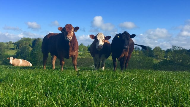 Recognition that tag loss is inevitable in new Farmers Charter - ICSA