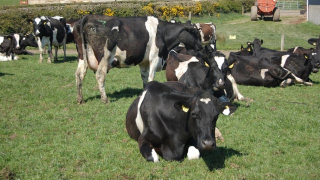 Independent Farmers: 'Omens are not good' for supply chain watchdog