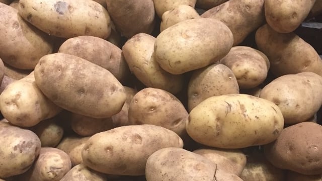 Irish people can't grow potatoes? We've been doing it for years!