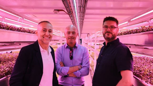 London’s first underground farm unveiled