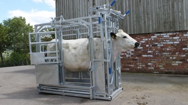 Options for cattle handling equipment under 40% grant scheme