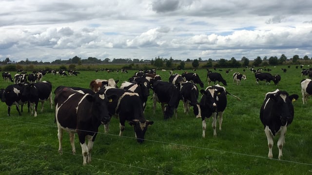 Pics and stats from Rockwell - one of the country's biggest dairy farms