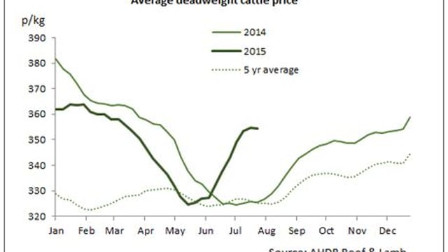 'Heat has left the UK cattle trade, as healthy supplies fill chill rooms'