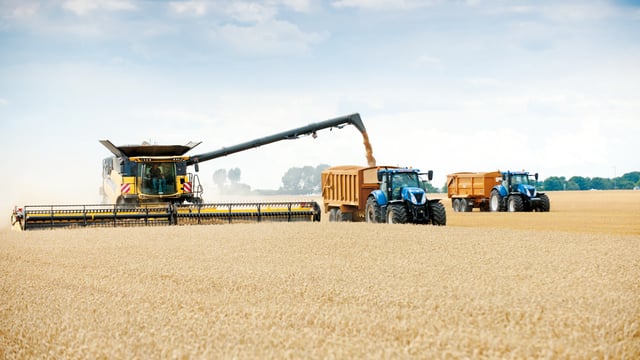 Heat wave on the continent hits crop yields (rain is the problem in Ireland)