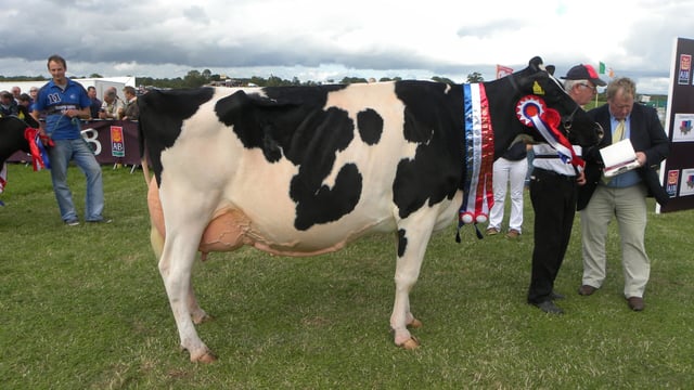 Trade stands already booked out ahead of Tullamore Show