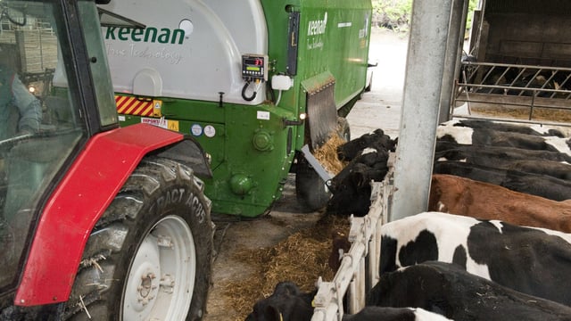 Dairy feed usage up in 2015 - Teagasc