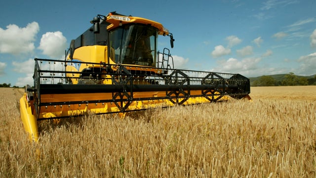 Ireland is not the only country that's having a bad harvest this year