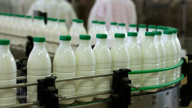 Role of National Milk Agency should be reviewed - Cashman