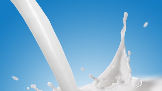 Would you try camel milk? Ray D'Arcy did on live radio