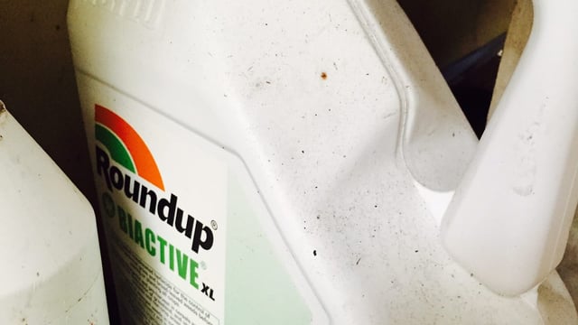 'Glyphosate unlikely to pose carcinogenic hazard to humans'