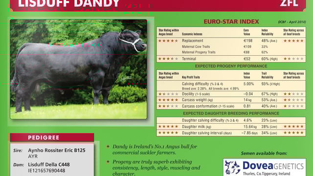 AI bull 'Lisduff Dandy' still in service, says Dovea