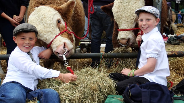 75th Virginia Show to host International Limousin Congress
