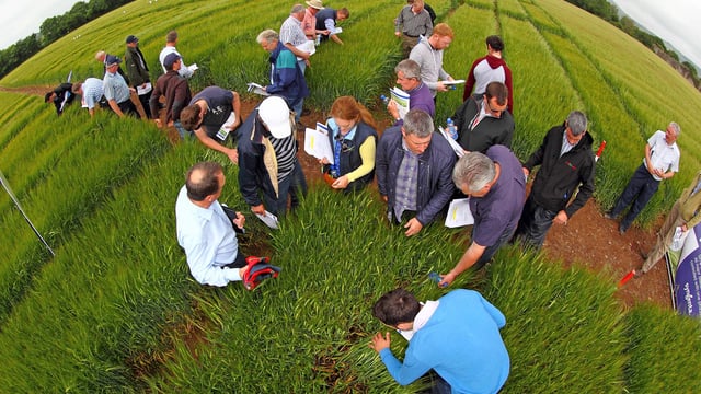 Seed trade seminars to discuss variety options and seed certification