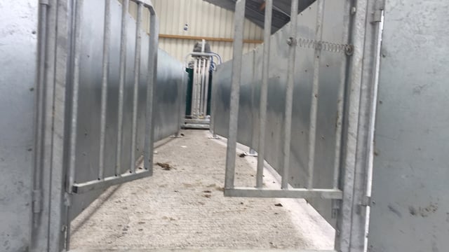 3 sheep handling units that qualify for 40% grant aid