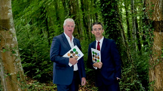 Coillte announces 46% growth in operating profit to €60.5m