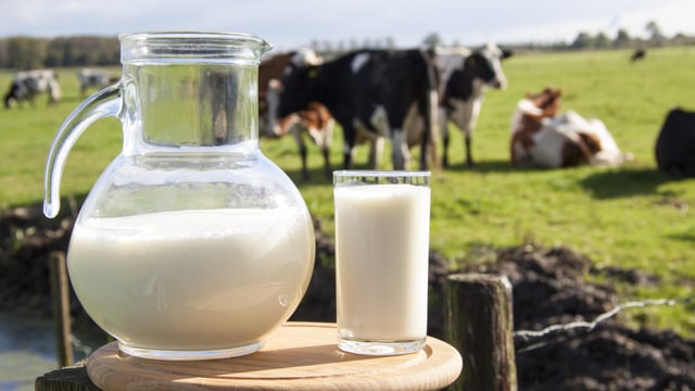 Did you hear the joke of the Kerry farmer seeking a 'leading milk price'?