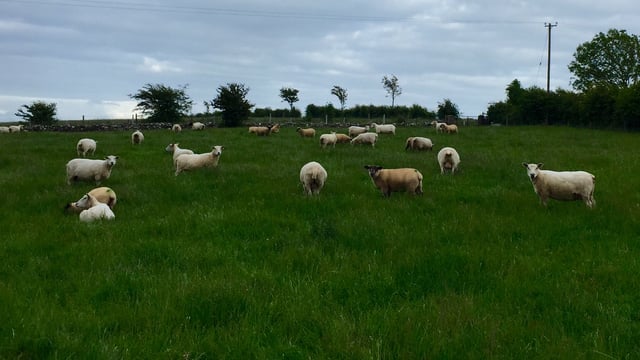 How the Department decides which farms to inspect