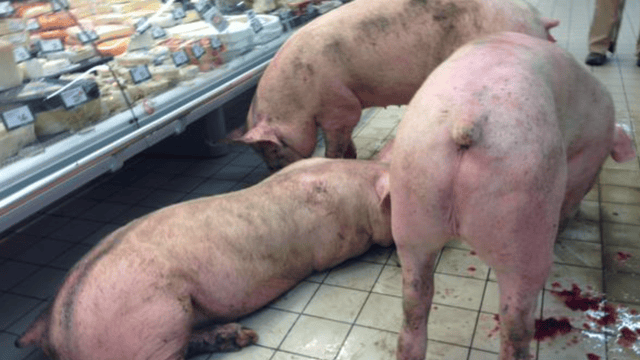 Protesting French farmers highlight Ireland's need for more markets