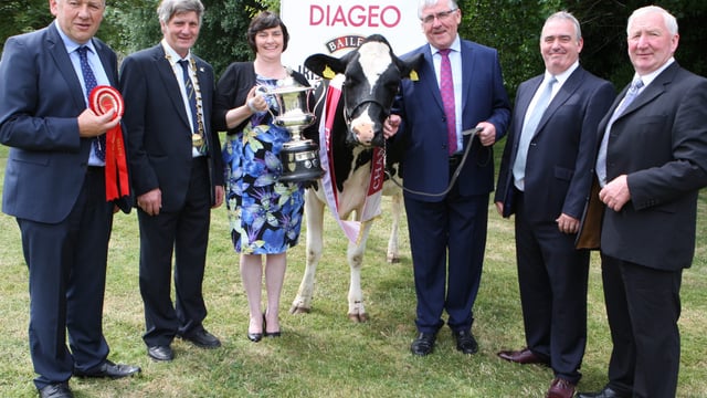 €10,000 up for grabs at dairy livestock competition