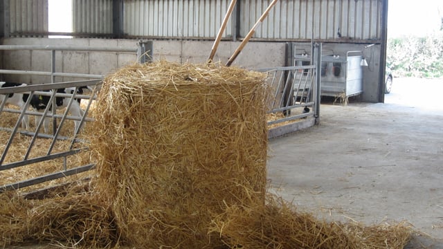 Straw prices average less than €25/bale