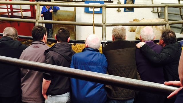 10 characters at every mart - Which one are you and who to avoid?