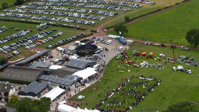 Heifers average €3,000 at IHFA open day