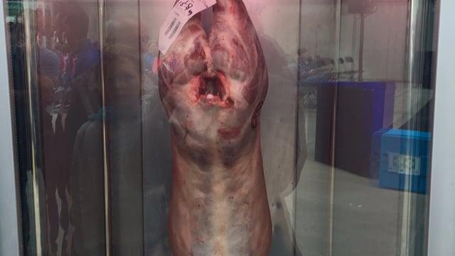 'Lamb must be included in beef trade missions'