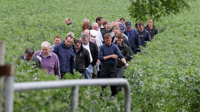 €280/ha Protein Aid Scheme payments issue
