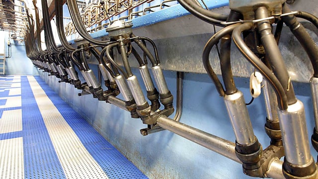 Co-ops asked to hold spring milk price as they get €15m bonus from Ornua