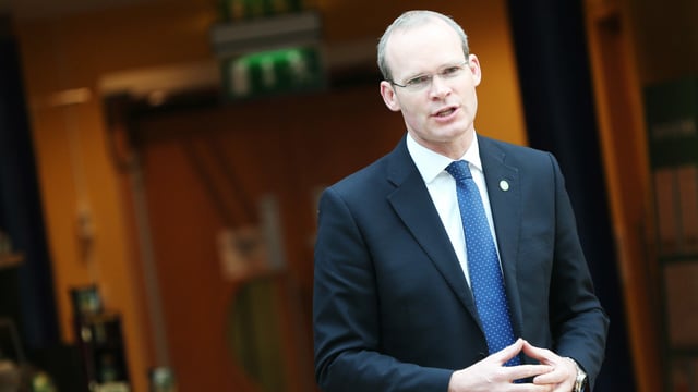 Coveney given 'boost' with MEP backing