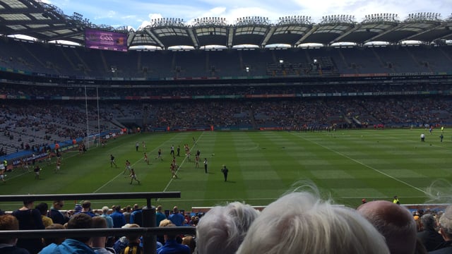 Forget about the cats, a hawk has deterred the Croke Park pigeons