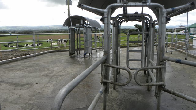 ICOS outlines plans to help the dairy market (raising the intervention price is not one of them)