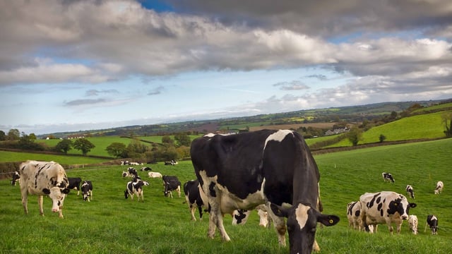 Ireland 'should follow New Zealand model on agri emissions'