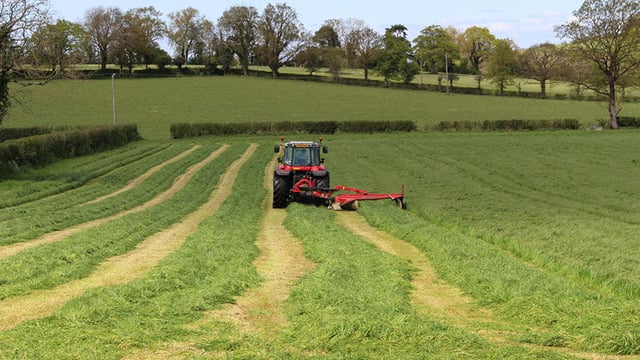 See the grass growth figures of a top dairy farm