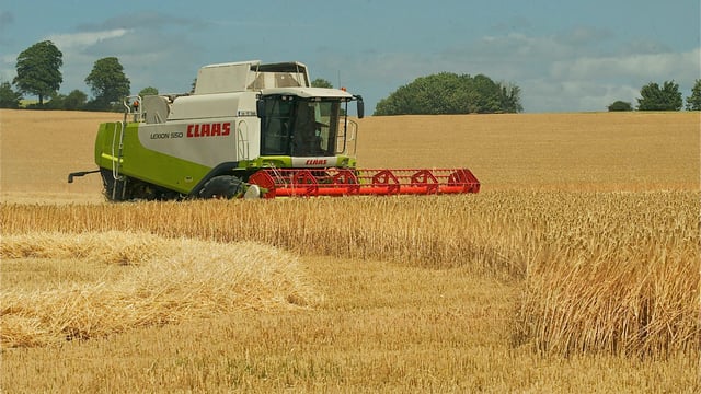 'Tillage farmers are scraping together every penny to pay their bills'