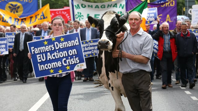 The future of IFA protests, according to the presidential candidates