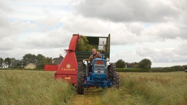 Video: Classic harvesters cutting silage in Cork