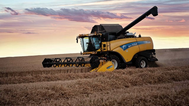 French wheat harvest tops 40m tonnes