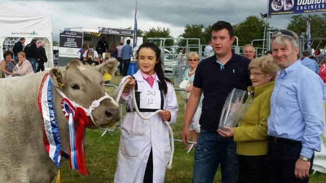 Westmeath heifer crowned champion commercial animal at Tullamore Show