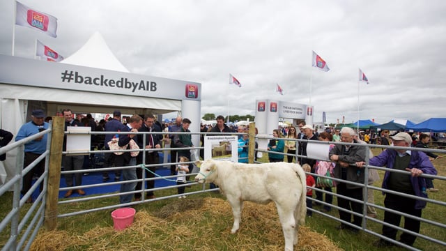 'Guess the weight' heifer at Tullamore Show - correct weight revealed