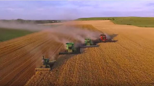 U.S. wheat stocks set to be largest in 29 years