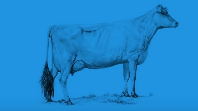 How two cows can explain Ireland's economy (and much of the world's)