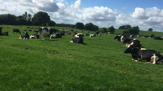 Oireachtas committee to discuss nitrates compliance with An Taisce