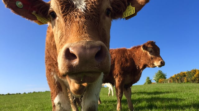 Mercury to hit 23 degrees this weekend, warm weather in store - Met Eireann