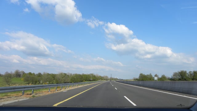 Cattle cause mayhem on Dublin to Limerick motorway